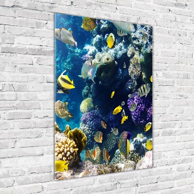 Cuadro de vidrio templado 4mm para pared vertical Arrecife de coral