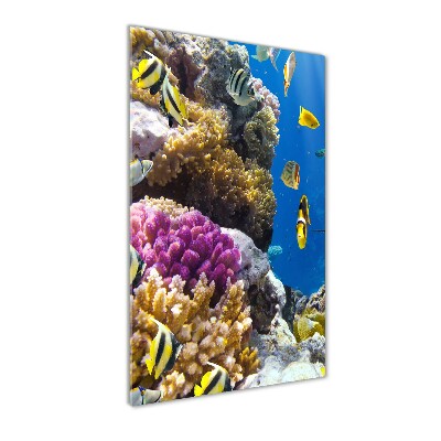Cuadro de vidrio templado 4mm para pared vertical Arrecife de coral