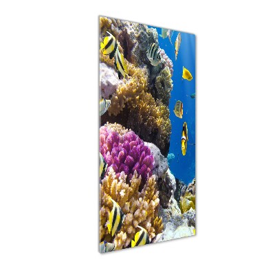 Cuadro de vidrio templado 4mm para pared vertical Arrecife de coral