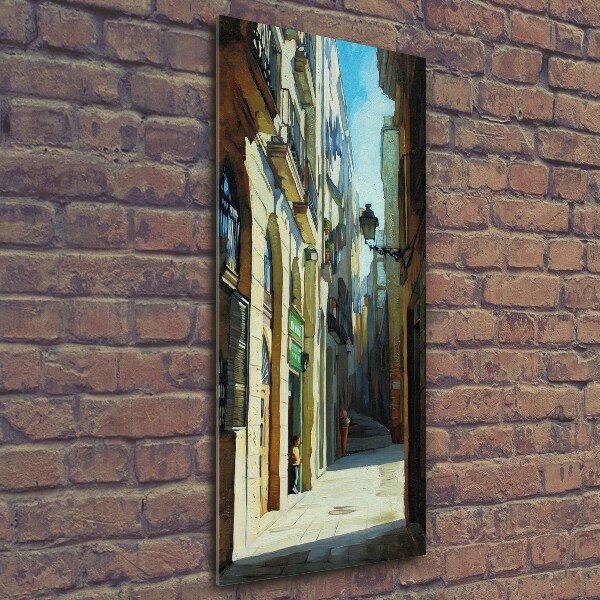 Cuadro de cristal moderno efecto brillo vertical Calles de Barcelona
