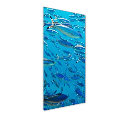 Cuadro de vidrio templado 4mm para pared vertical Peces coralinos