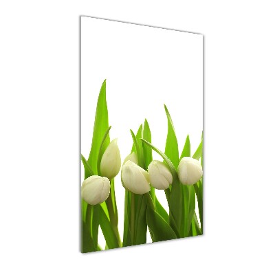 Cuadro de cristal moderno efecto brillo vertical tulipanes blancos