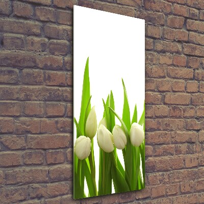 Cuadro de cristal moderno efecto brillo vertical tulipanes blancos