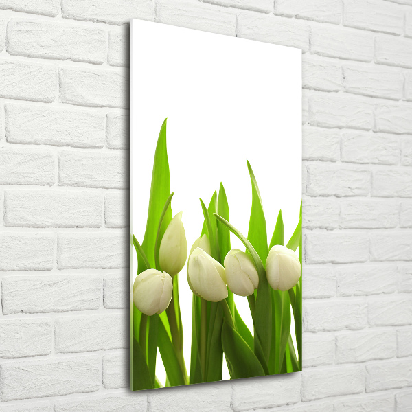 Cuadro de cristal moderno efecto brillo vertical tulipanes blancos