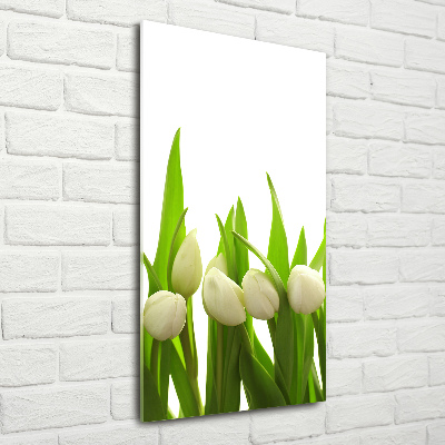 Cuadro de cristal moderno efecto brillo vertical tulipanes blancos