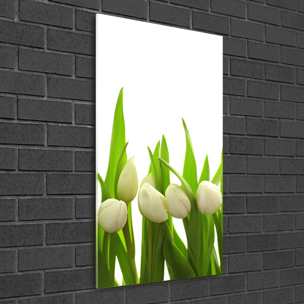 Cuadro de cristal moderno efecto brillo vertical tulipanes blancos