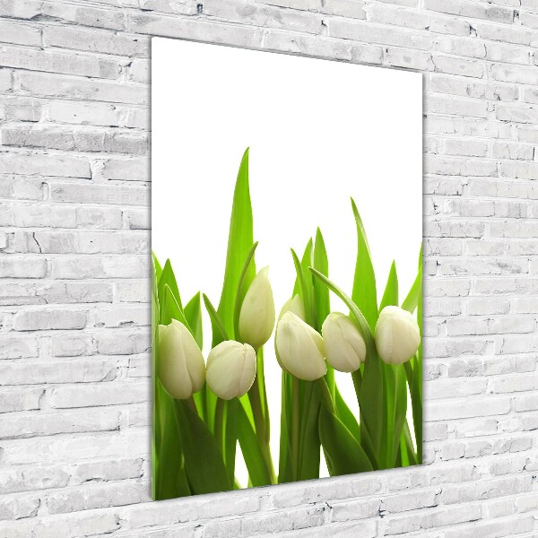 Cuadro de cristal moderno efecto brillo vertical tulipanes blancos