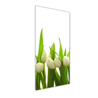 Cuadro de cristal moderno efecto brillo vertical tulipanes blancos