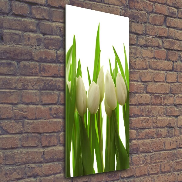 Cuadro decorativo en cristal con canto pulido vertical tulipanes blancos