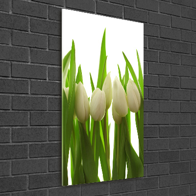 Cuadro decorativo en cristal con canto pulido vertical tulipanes blancos