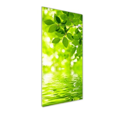 Cuadro de vidrio templado 4mm para pared vertical hojas verdes