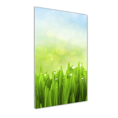 Cuadro de cristal moderno efecto brillo vertical Césped