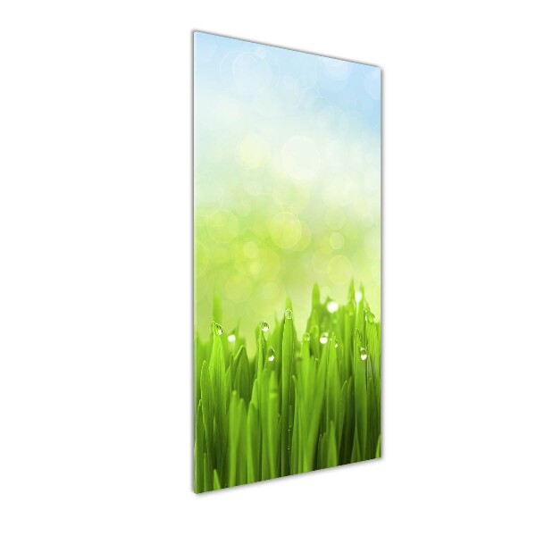 Cuadro de cristal moderno efecto brillo vertical Césped