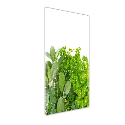 Cuadro decorativo en cristal con canto pulido vertical Hierbas