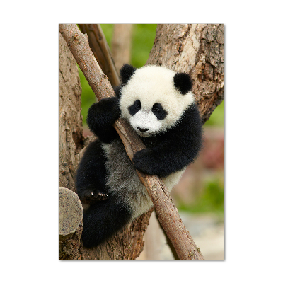 Cuadro de vidrio templado 4mm para pared vertical Panda en un árbol