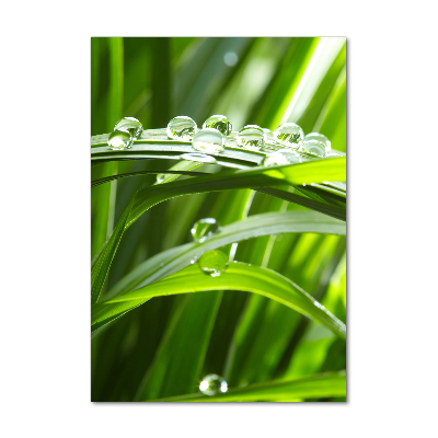 Fotocuadro de cristal elegante para hogar vertical Briznas de hierba