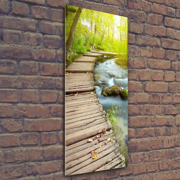 Fotocuadro de cristal elegante para hogar vertical Camino en el bosque