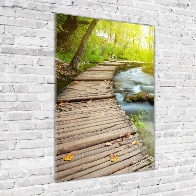 Fotocuadro de cristal elegante para hogar vertical Camino en el bosque