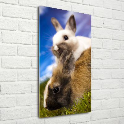 Cuadro de cristal moderno efecto brillo vertical Dos conejos