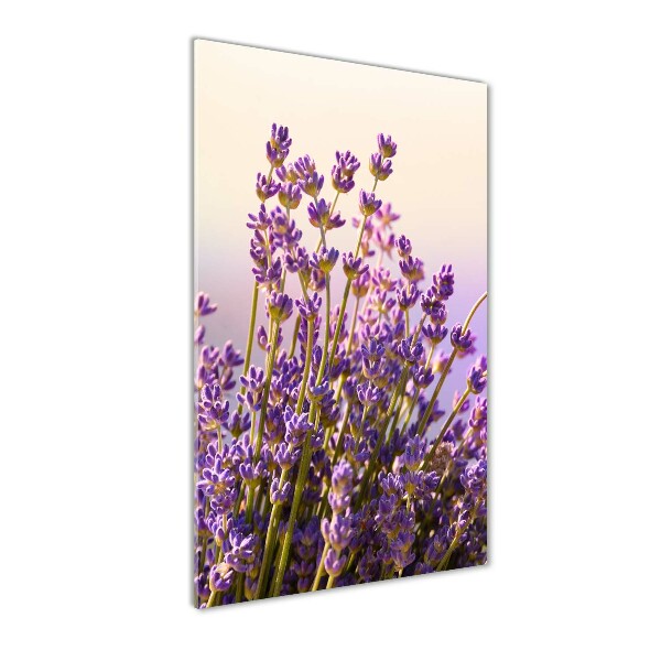 Fotocuadro de cristal elegante para hogar vertical Lavanda