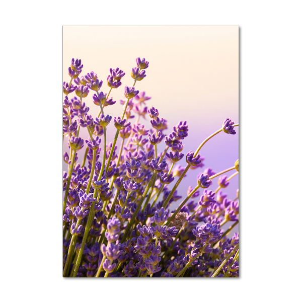 Fotocuadro de cristal elegante para hogar vertical Lavanda