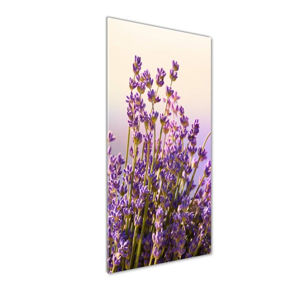 Fotocuadro de cristal elegante para hogar vertical Lavanda