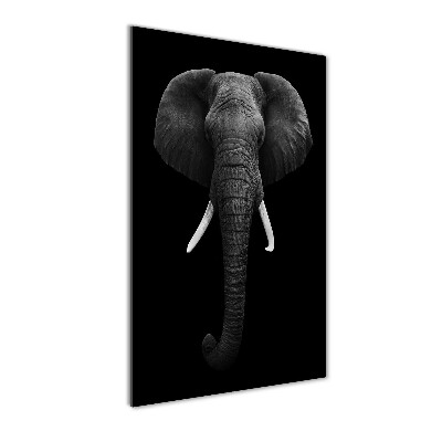 Cuadro decorativo en cristal con canto pulido vertical elefante africano