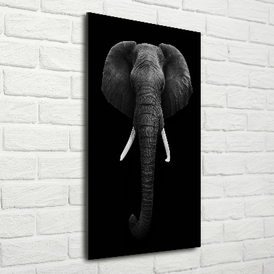 Cuadro decorativo en cristal con canto pulido vertical elefante africano