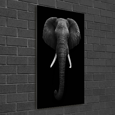 Cuadro decorativo en cristal con canto pulido vertical elefante africano