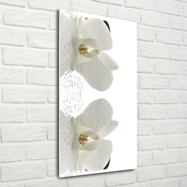 Cuadro decorativo en cristal con canto pulido vertical Orquídea y piedras