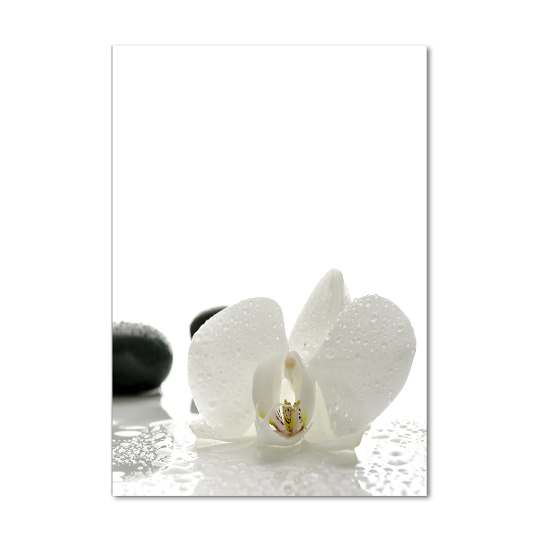 Cuadro decorativo en cristal con canto pulido vertical Orquídea y piedras