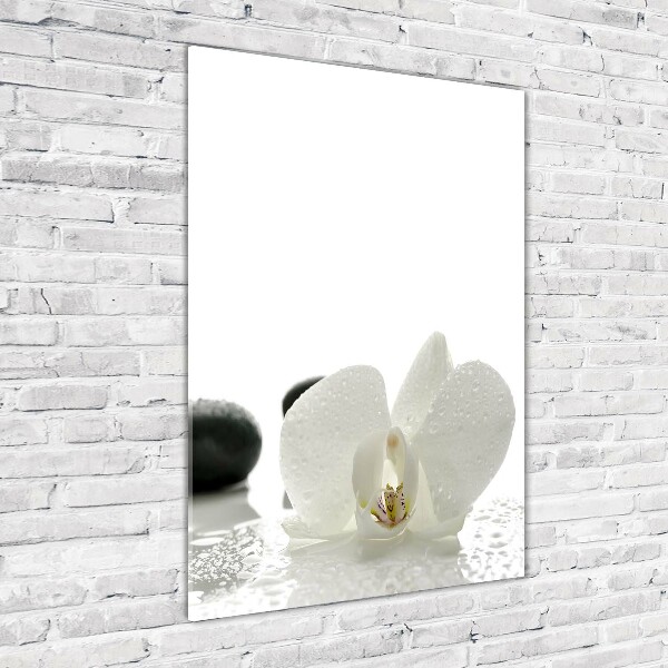 Cuadro decorativo en cristal con canto pulido vertical Orquídea y piedras