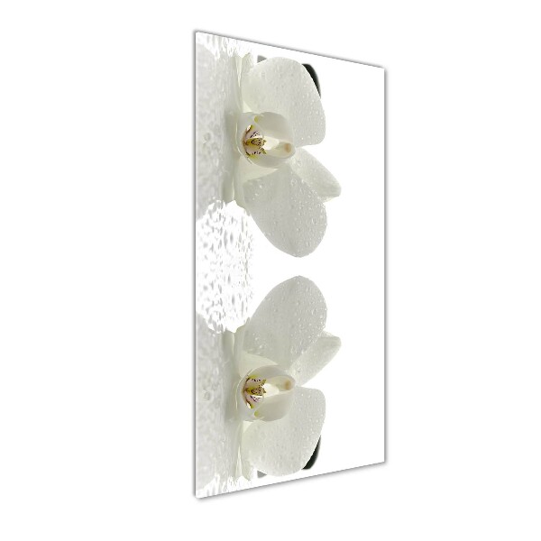 Cuadro decorativo en cristal con canto pulido vertical Orquídea y piedras