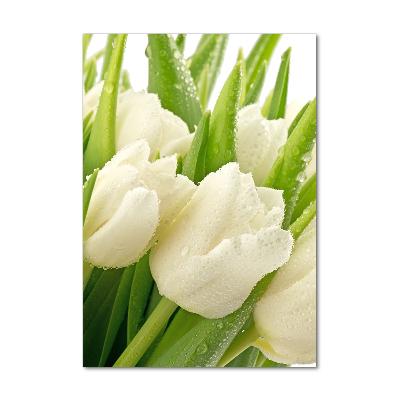 Cuadro de vidrio templado 4mm para pared vertical tulipanes blancos