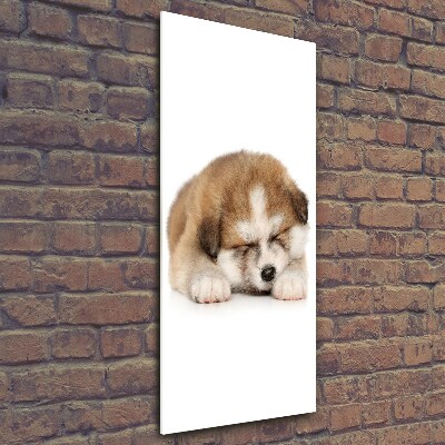 Cuadro de vidrio templado 4mm para pared vertical Cachorro de Akita