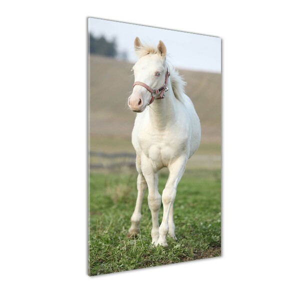 Fotocuadro de cristal elegante para hogar vertical Caballo albino
