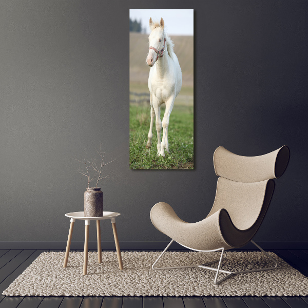 Fotocuadro de cristal elegante para hogar vertical Caballo albino