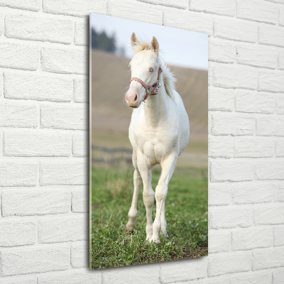 Fotocuadro de cristal elegante para hogar vertical Caballo albino