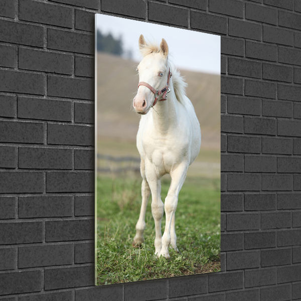 Fotocuadro de cristal elegante para hogar vertical Caballo albino