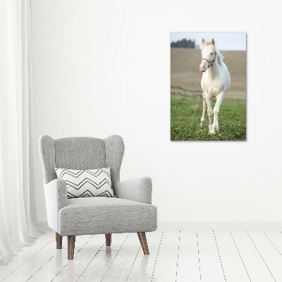 Fotocuadro de cristal elegante para hogar vertical Caballo albino
