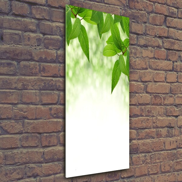 Cuadro de vidrio templado 4mm para pared vertical hojas verdes