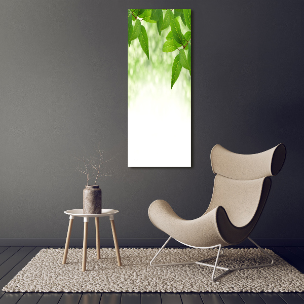 Cuadro de vidrio templado 4mm para pared vertical hojas verdes