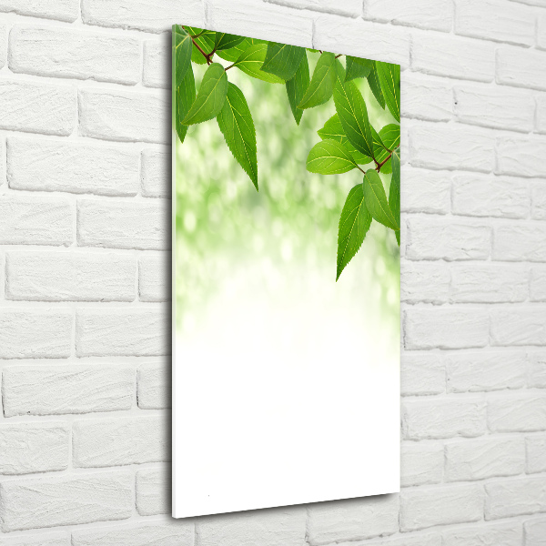 Cuadro de vidrio templado 4mm para pared vertical hojas verdes