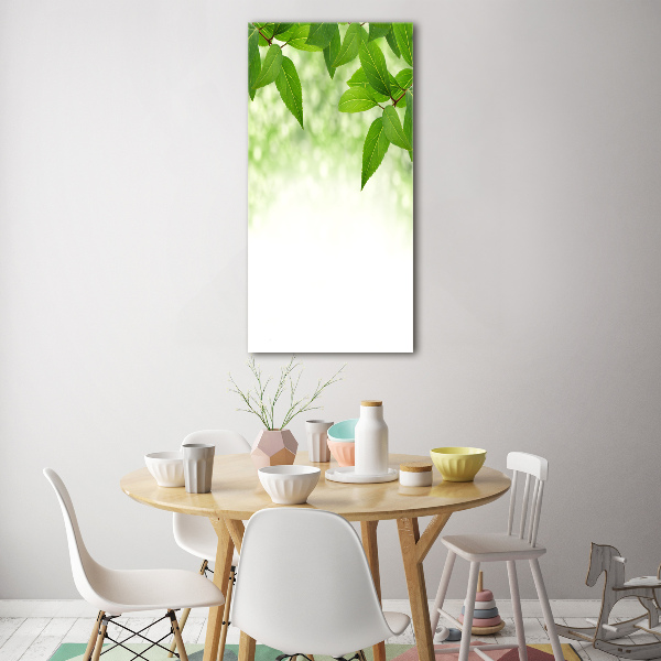 Cuadro de vidrio templado 4mm para pared vertical hojas verdes
