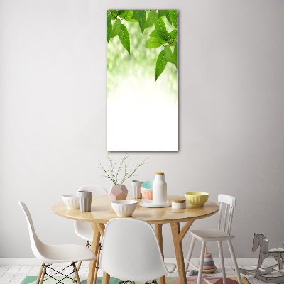 Cuadro de vidrio templado 4mm para pared vertical hojas verdes