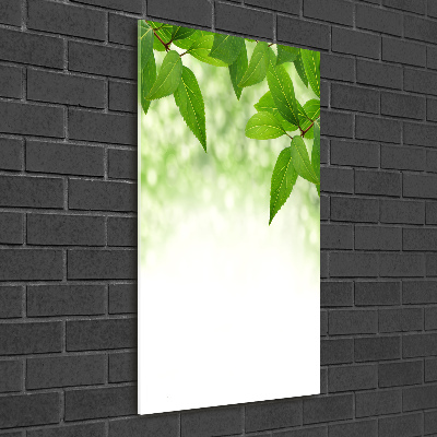 Cuadro de vidrio templado 4mm para pared vertical hojas verdes