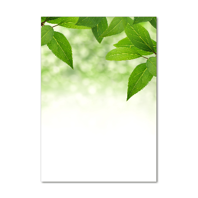 Cuadro de vidrio templado 4mm para pared vertical hojas verdes