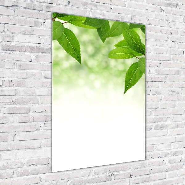 Cuadro de vidrio templado 4mm para pared vertical hojas verdes