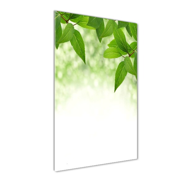 Cuadro de vidrio templado 4mm para pared vertical hojas verdes