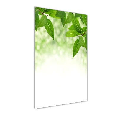 Cuadro de vidrio templado 4mm para pared vertical hojas verdes